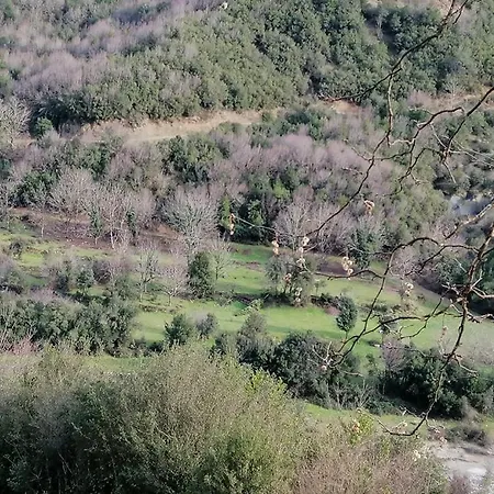 Κτήματα Ευδοξία Βίλα Platanoussa Εξωτερικό φωτογραφία