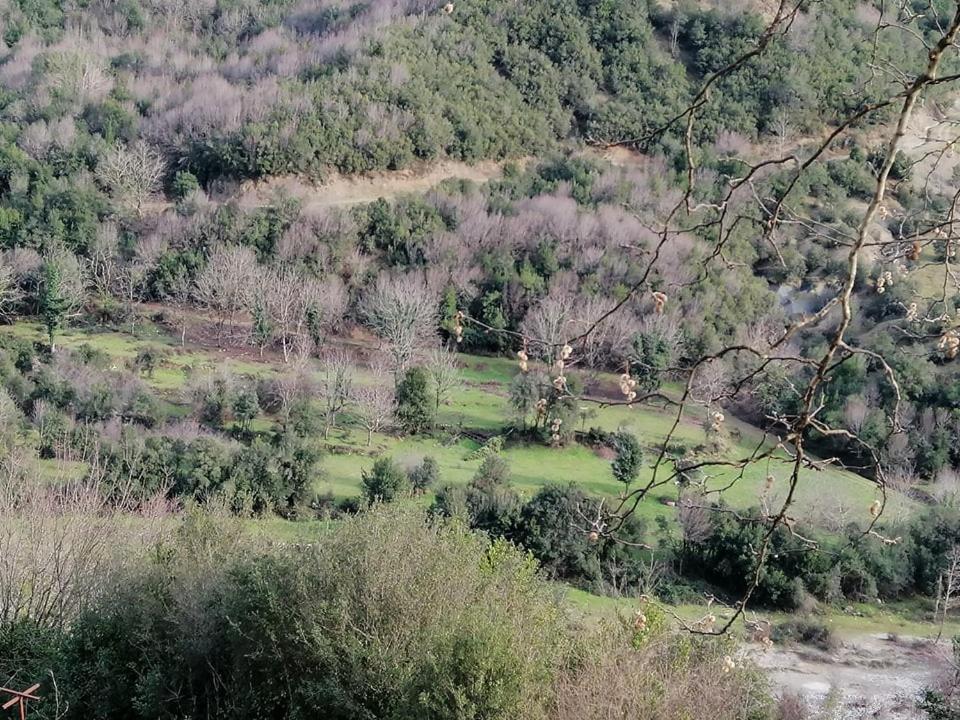 Ferienhaus Ktimata Evdoxia Platanoussa